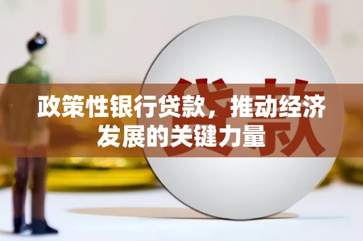 红星政策性银行贷款，推动经济发展的关键力量