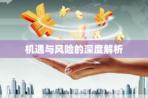 红星机遇与风险的深度解析
