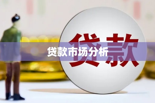 红星贷款市场分析