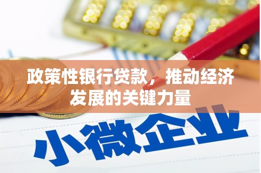 红星政策性银行贷款，推动经济发展的关键力量