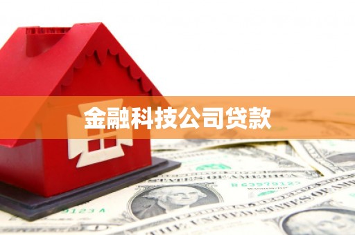 红星金融科技公司贷款