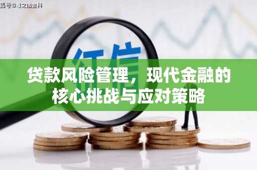 红星贷款风险管理，现代金融的核心挑战与应对策略