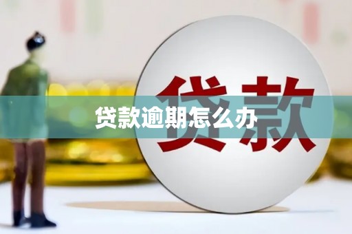 红星贷款逾期怎么办