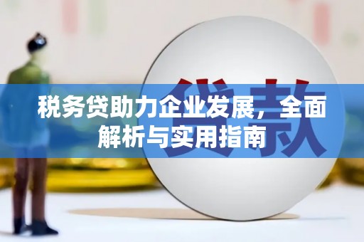 红星税务贷助力企业发展，全面解析与实用指南