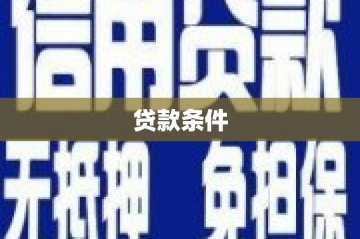 红星贷款条件