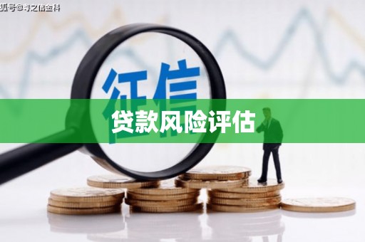 红星贷款风险评估