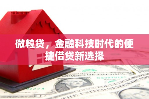 红星微粒贷，金融科技时代的便捷借贷新选择