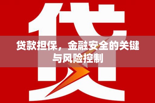 红星贷款担保，金融安全的关键与风险控制