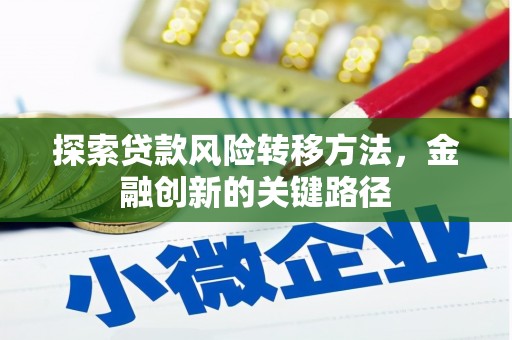 红星探索贷款风险转移方法，金融创新的关键路径
