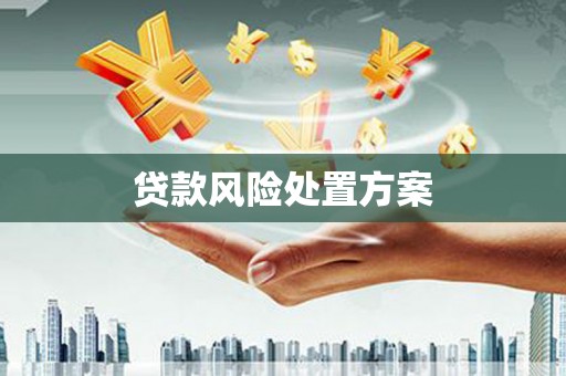 红星贷款风险处置方案