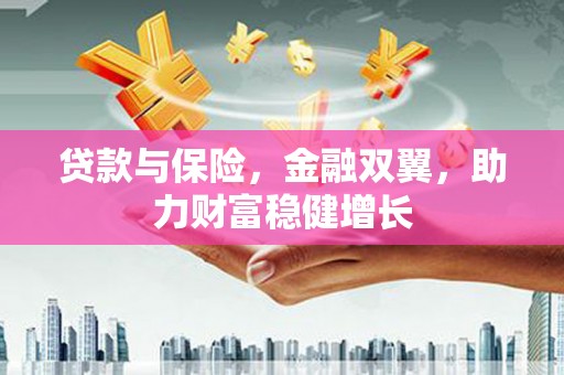 红星贷款与保险，金融双翼，助力财富稳健增长
