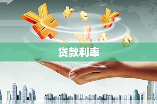 红星贷款利率