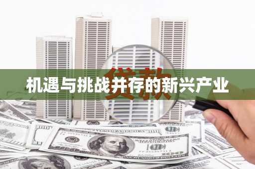 红星机遇与挑战并存的新兴产业