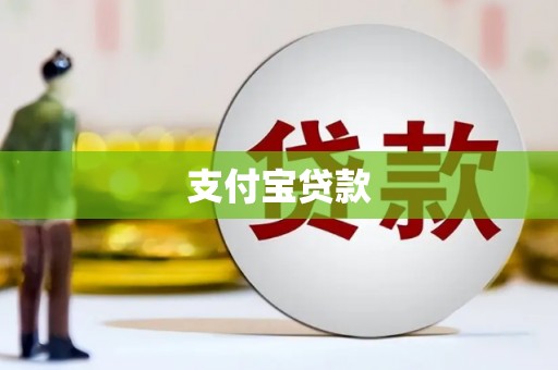 红星支付宝贷款