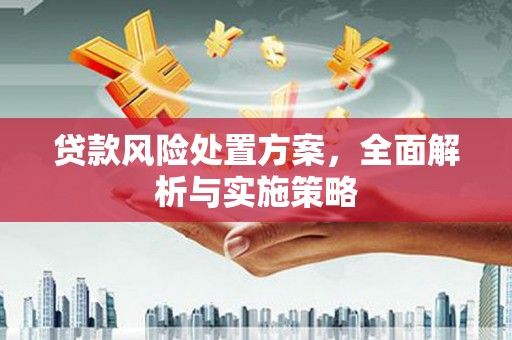 红星贷款风险处置方案，全面解析与实施策略