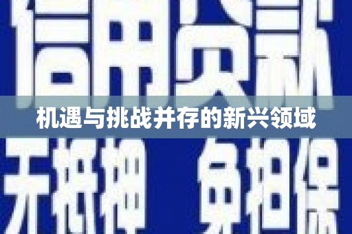 红星机遇与挑战并存的新兴领域