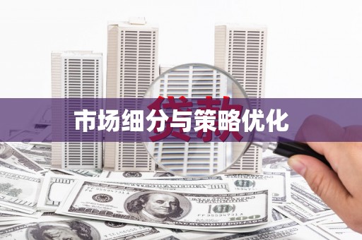 红星市场细分与策略优化