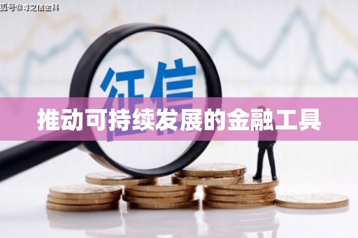 红星推动可持续发展的金融工具
