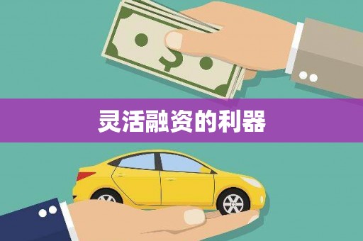红星灵活融资的利器
