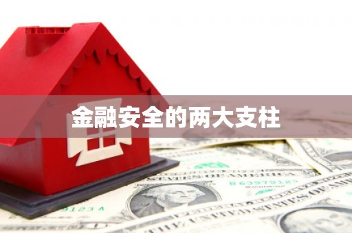 红星金融安全的两大支柱