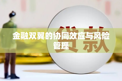 红星金融双翼的协同效应与风险管理