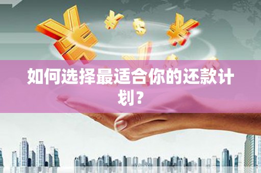 红星如何选择最适合你的还款计划？