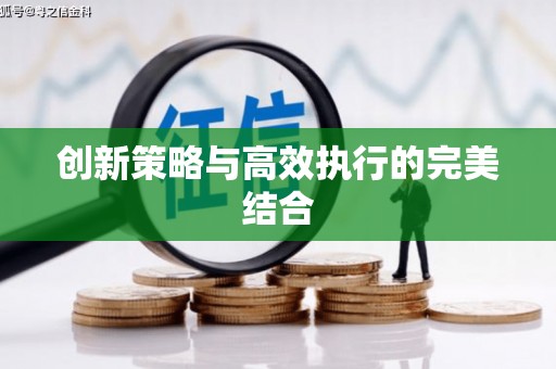 红星创新策略与高效执行的完美结合
