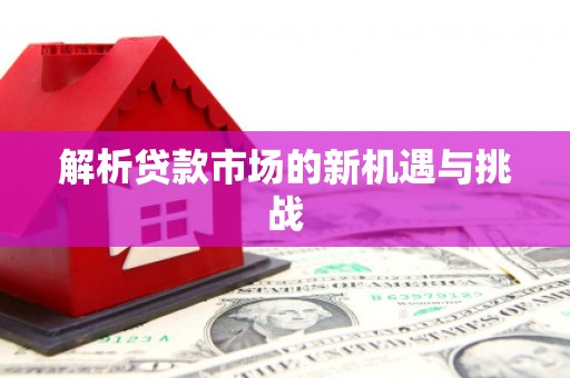 红星解析贷款市场的新机遇与挑战