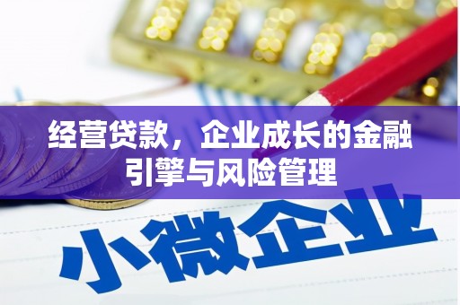 红星经营贷款，企业成长的金融引擎与风险管理