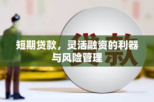 红星短期贷款，灵活融资的利器与风险管理