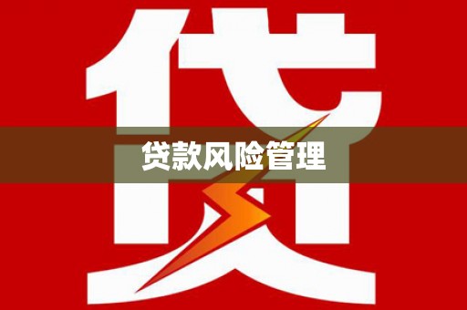 红星贷款风险管理