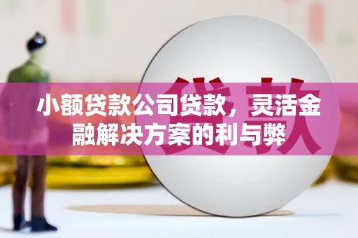 红星小额贷款公司贷款，灵活金融解决方案的利与弊