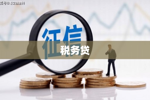 红星税务贷